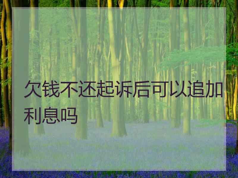 欠钱不还起诉后可以追加利息吗