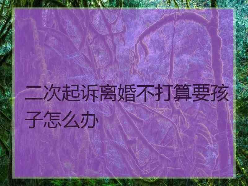 二次起诉离婚不打算要孩子怎么办