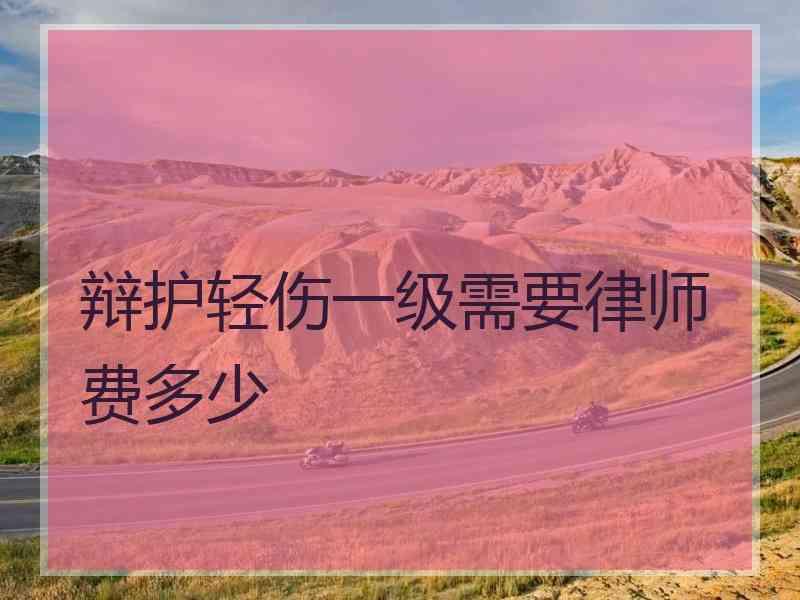 辩护轻伤一级需要律师费多少
