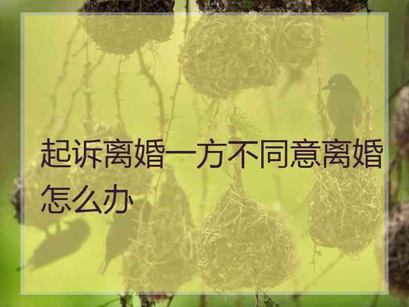 起诉离婚一方不同意离婚怎么办