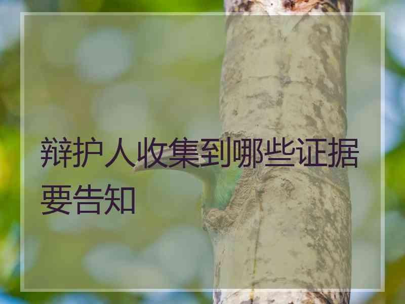 辩护人收集到哪些证据要告知