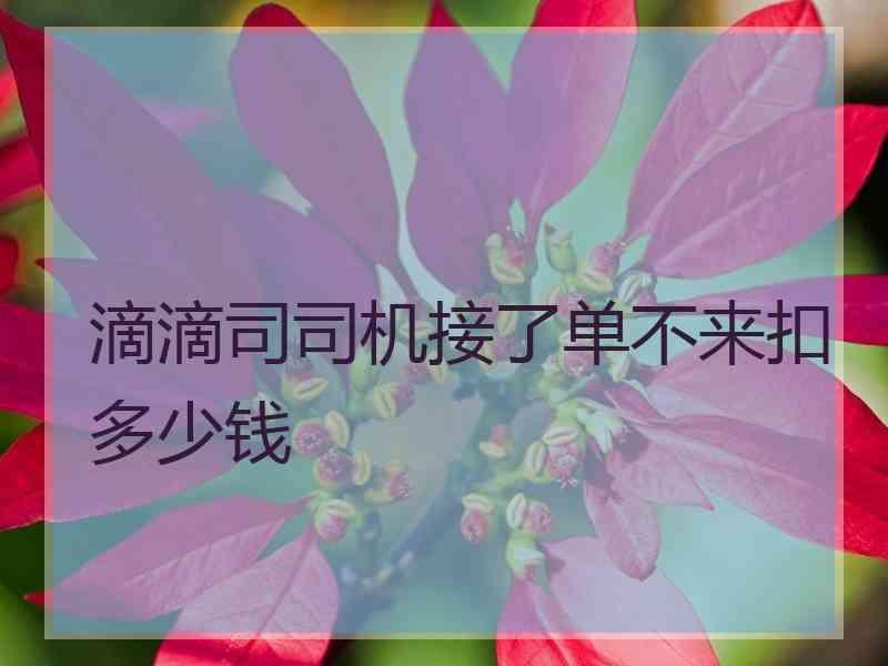 滴滴司司机接了单不来扣多少钱