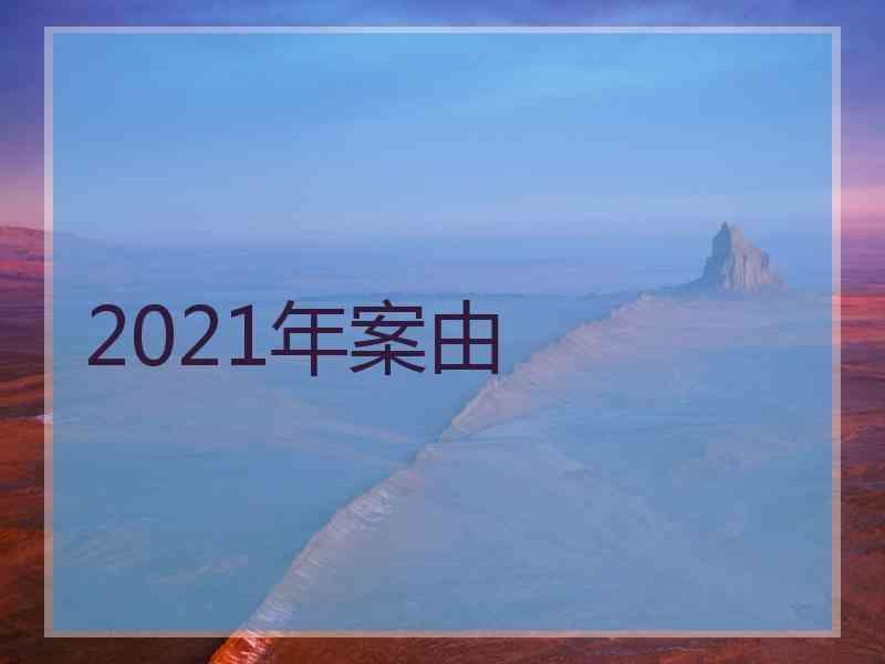 2021年案由