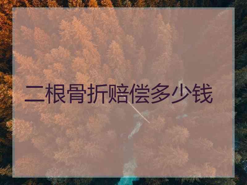 二根骨折赔偿多少钱