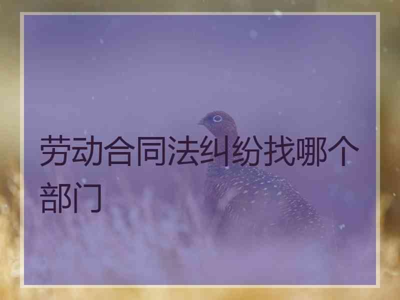 劳动合同法纠纷找哪个部门