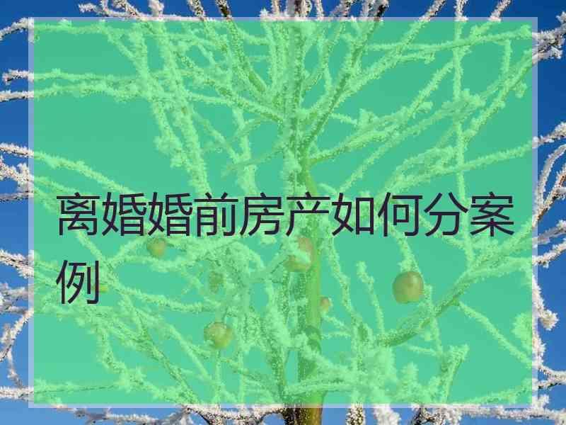 离婚婚前房产如何分案例