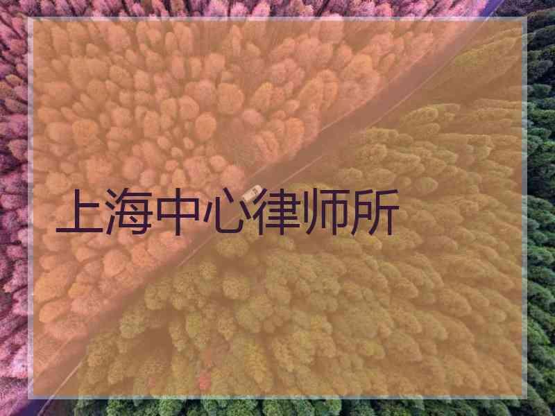 上海中心律师所