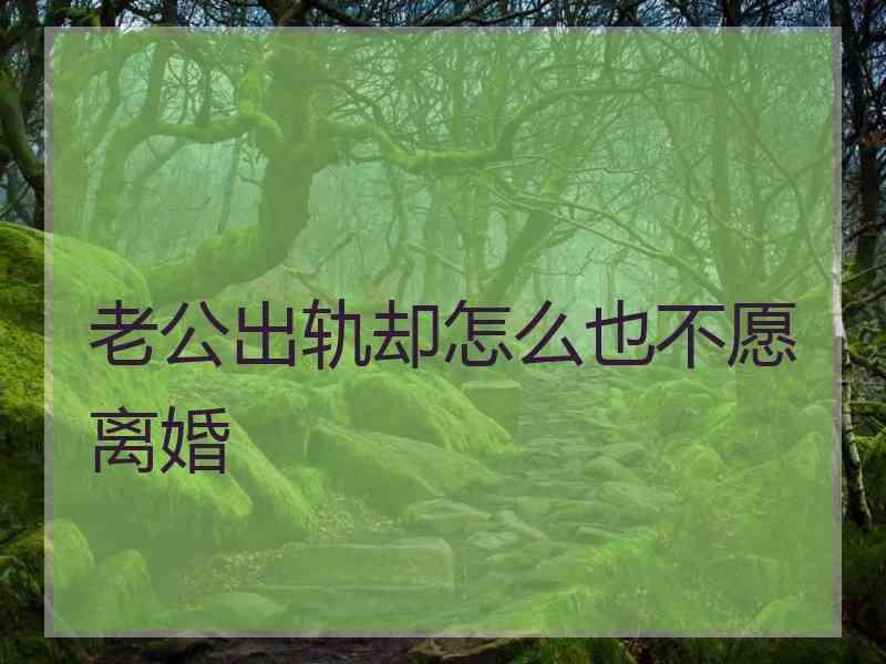 老公出轨却怎么也不愿离婚