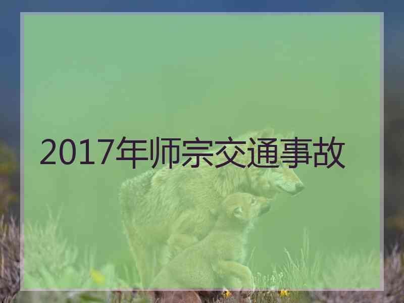 2017年师宗交通事故