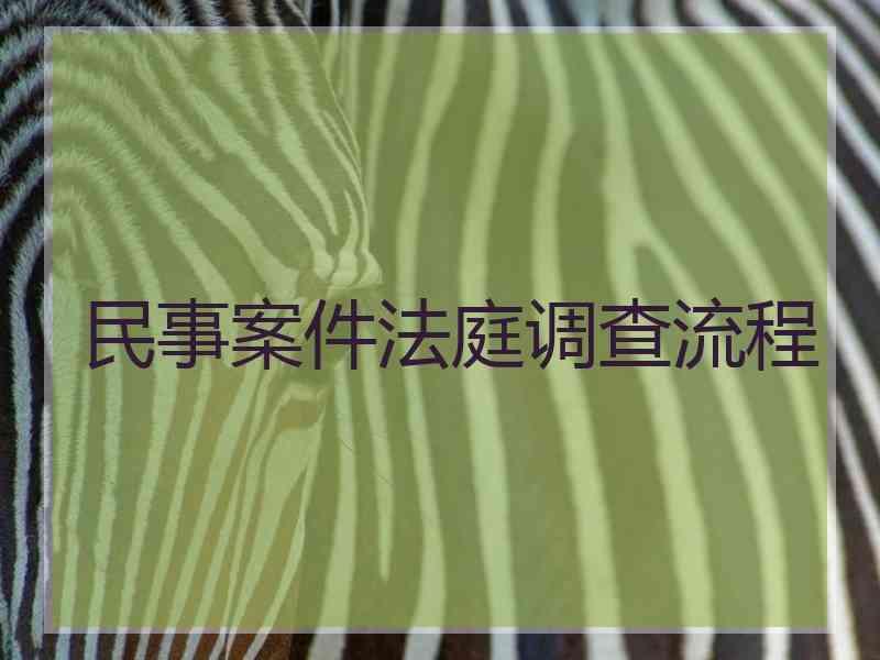 民事案件法庭调查流程