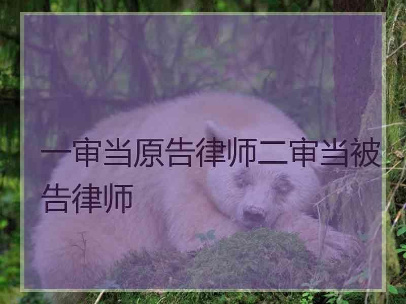 一审当原告律师二审当被告律师