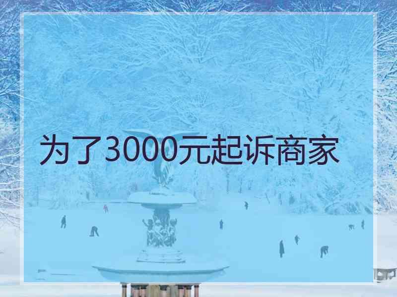 为了3000元起诉商家