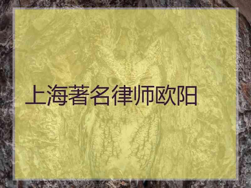 上海著名律师欧阳
