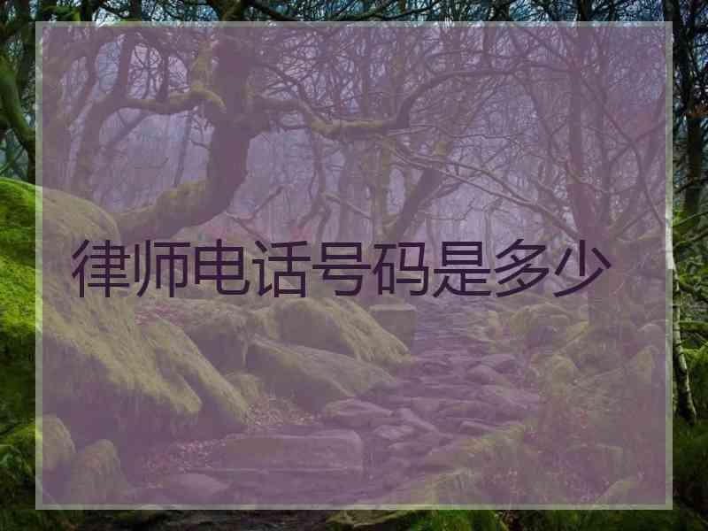 律师电话号码是多少