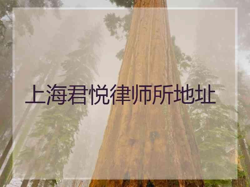 上海君悦律师所地址