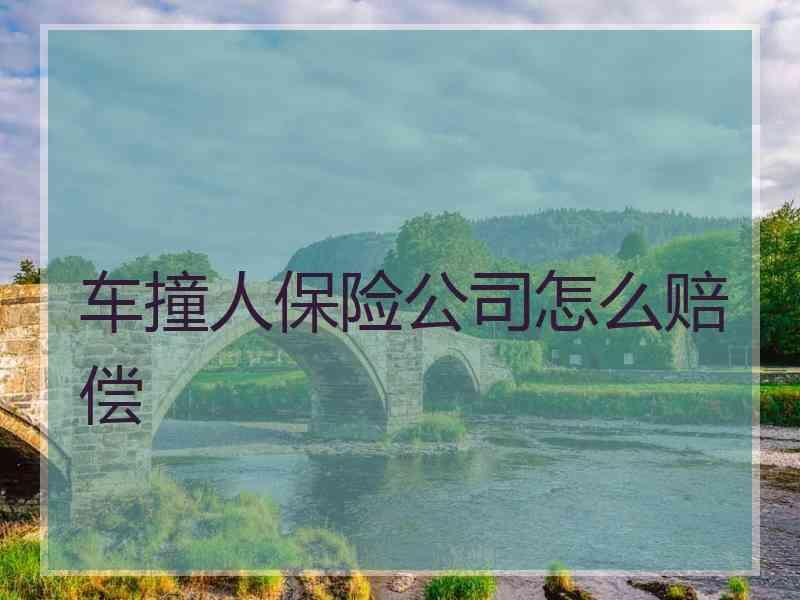 车撞人保险公司怎么赔偿