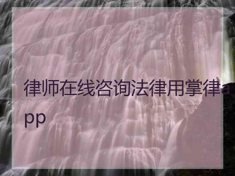 律师在线咨询法律用掌律app