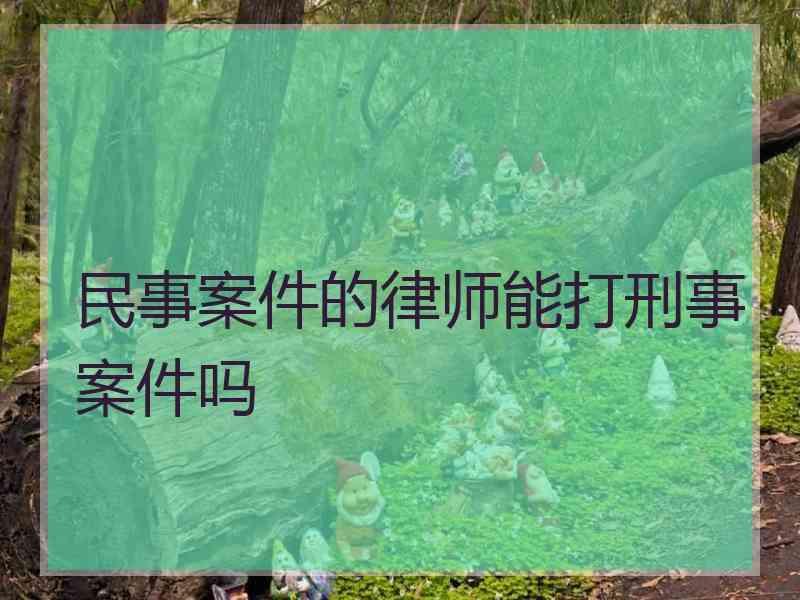 民事案件的律师能打刑事案件吗