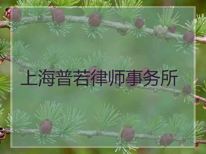 上海普若律师事务所