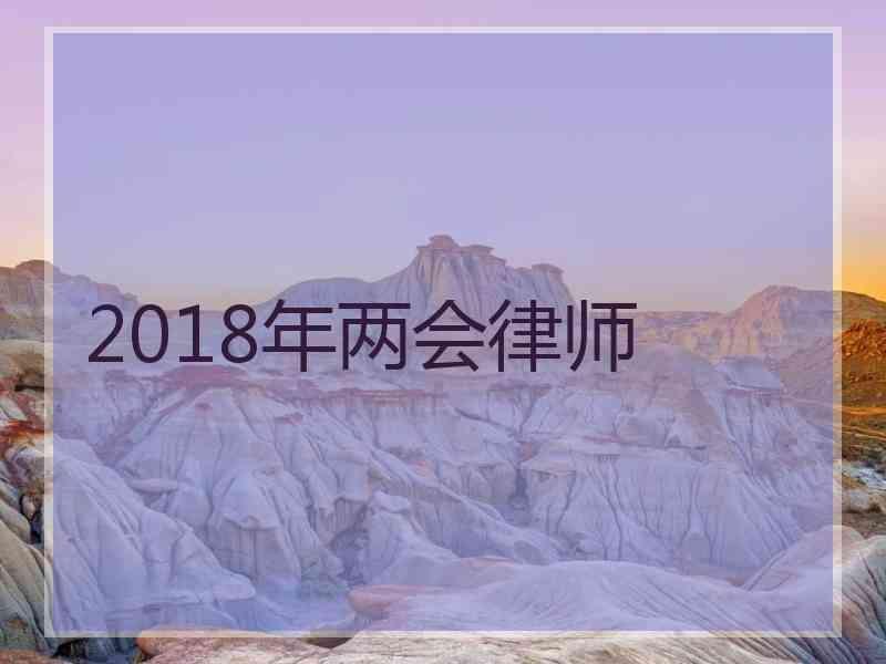 2018年两会律师