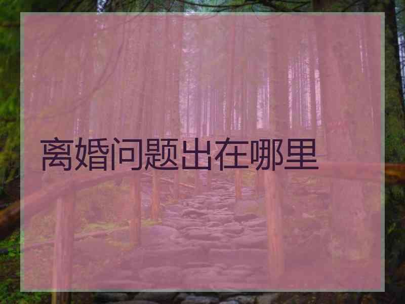 离婚问题出在哪里