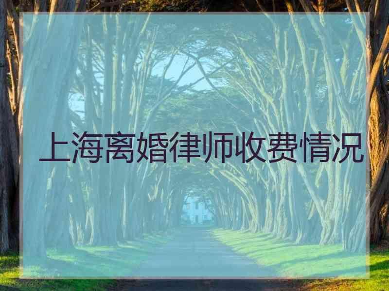 上海离婚律师收费情况