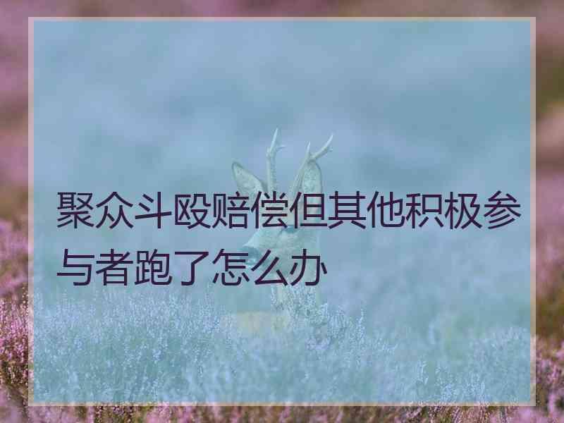 聚众斗殴赔偿但其他积极参与者跑了怎么办