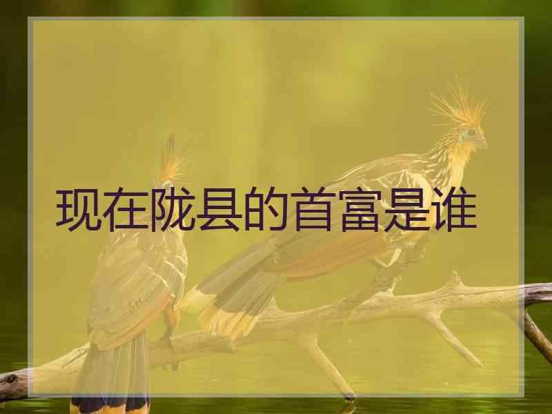 现在陇县的首富是谁