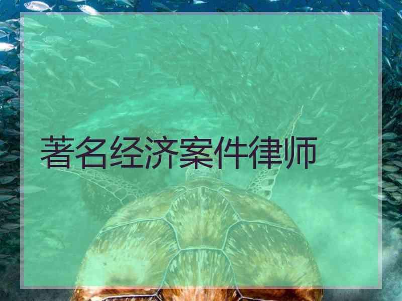 著名经济案件律师