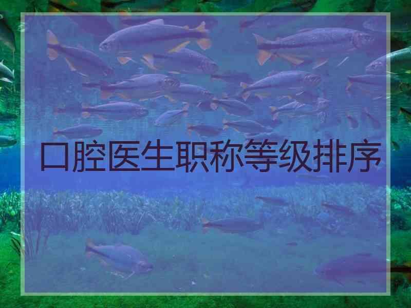 口腔医生职称等级排序