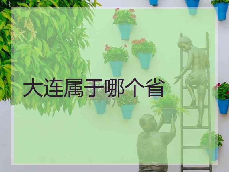 大连属于哪个省