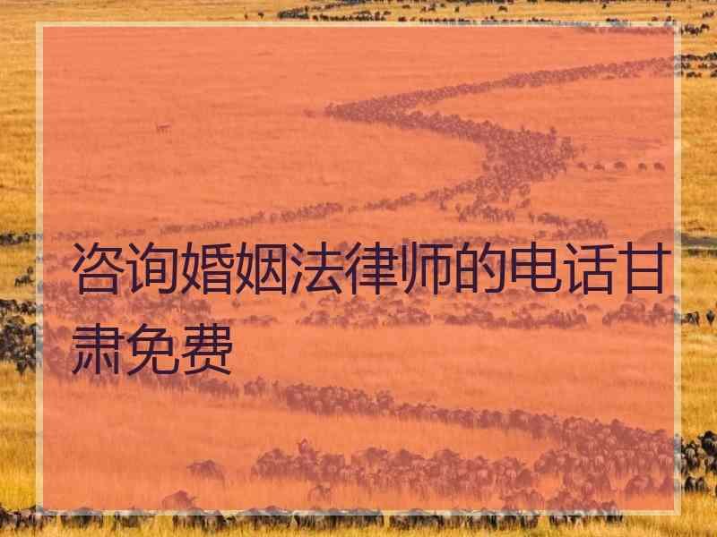 咨询婚姻法律师的电话甘肃免费