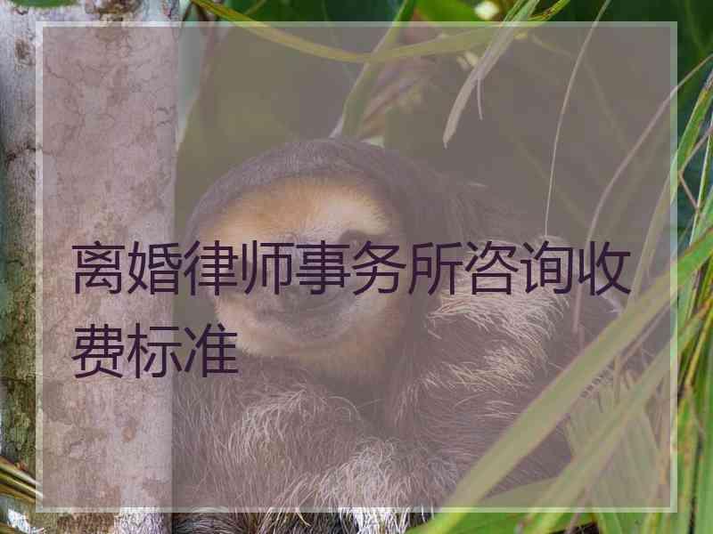 离婚律师事务所咨询收费标准