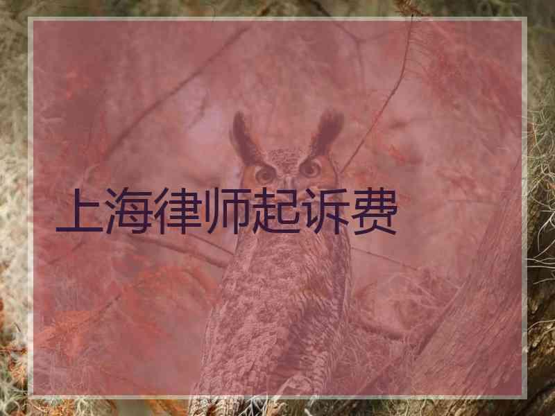 上海律师起诉费