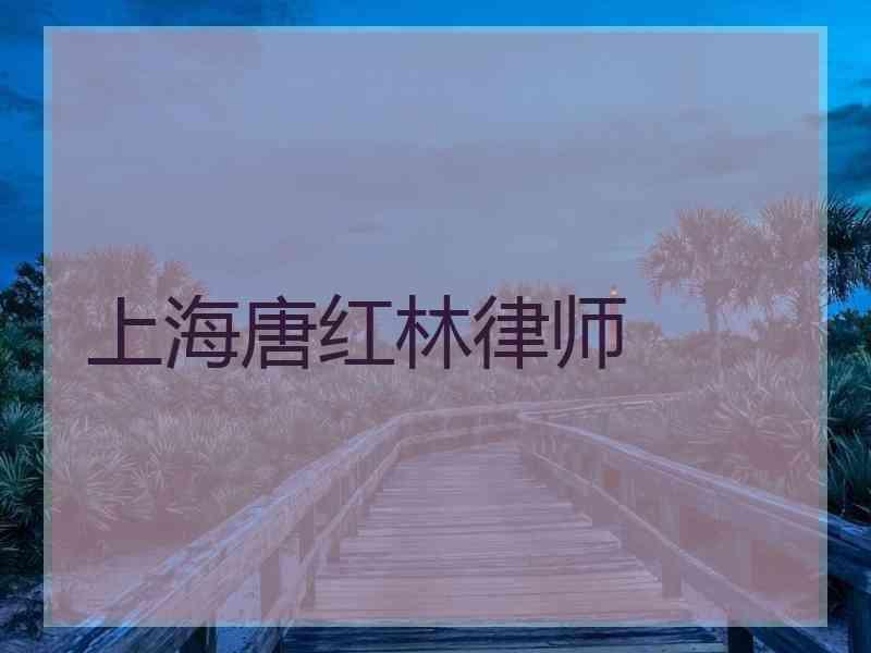 上海唐红林律师