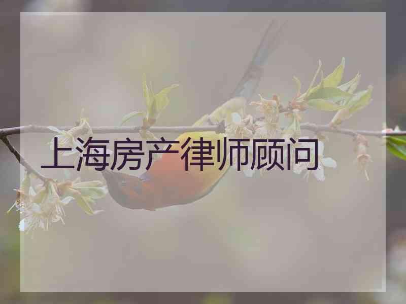 上海房产律师顾问