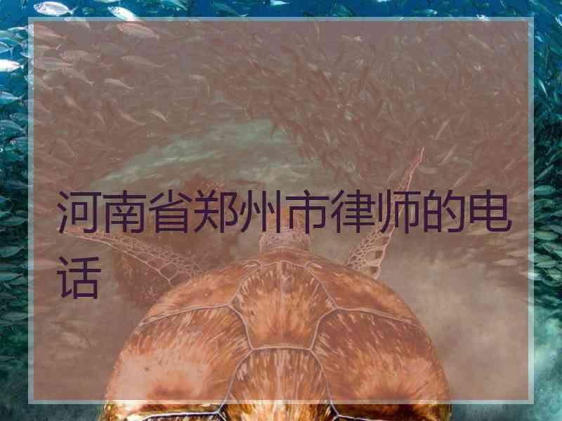 河南省郑州市律师的电话