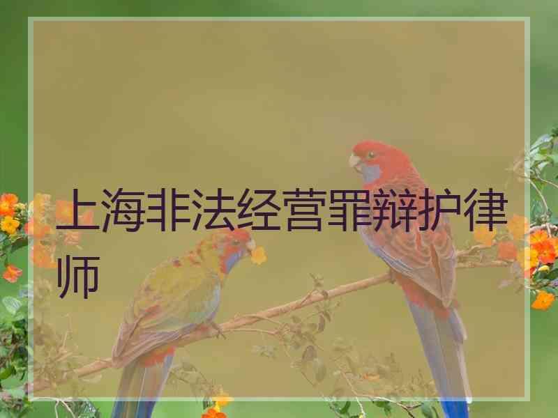 上海非法经营罪辩护律师