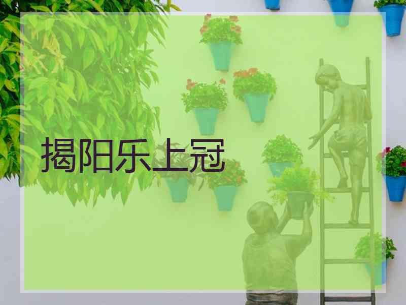 揭阳乐上冠