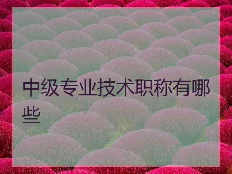 中级专业技术职称有哪些