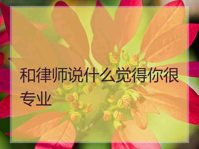 和律师说什么觉得你很专业