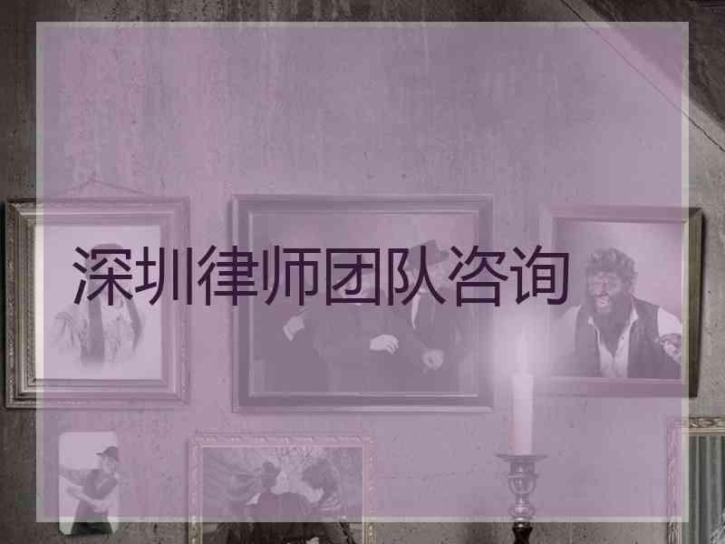深圳律师团队咨询