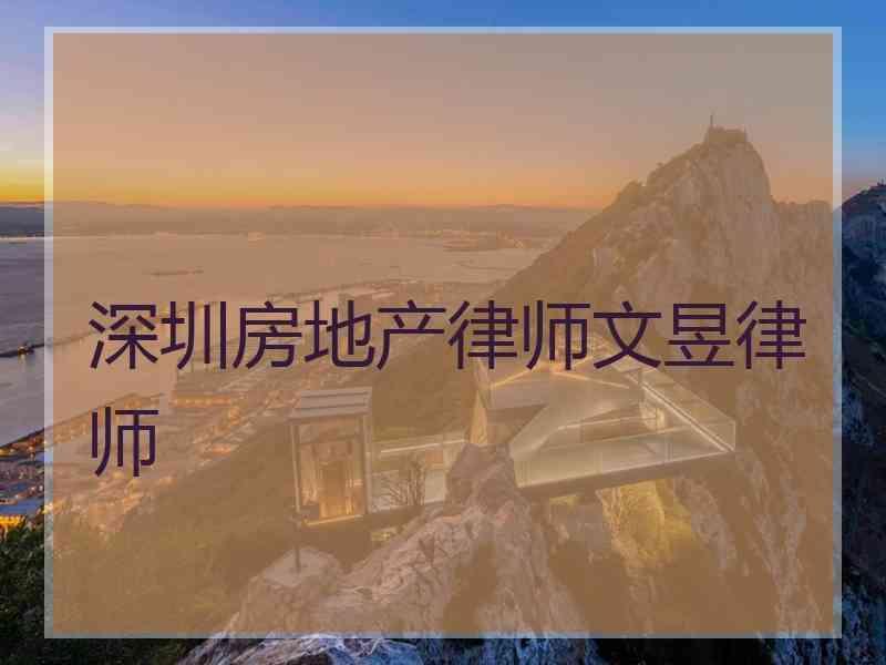 深圳房地产律师文昱律师