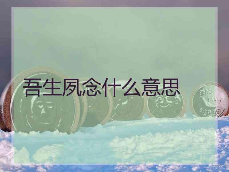 吾生夙念什么意思