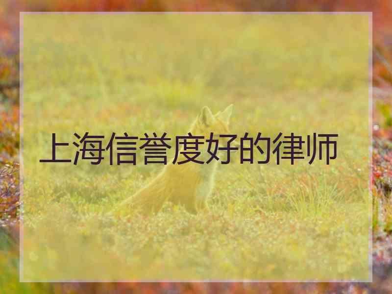 上海信誉度好的律师