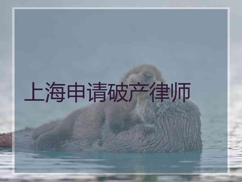 上海申请破产律师