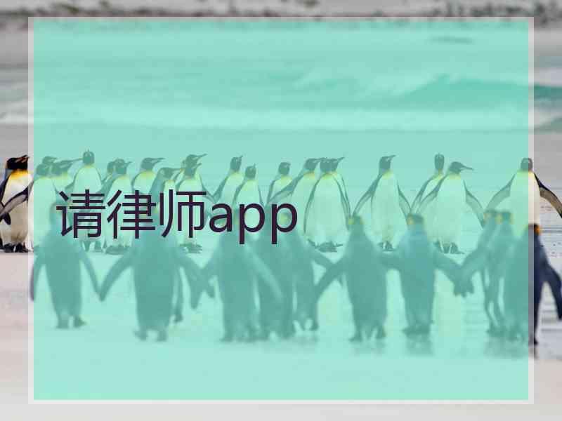 请律师app