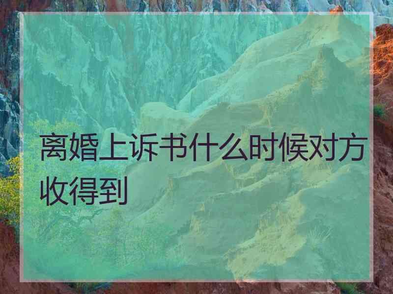 离婚上诉书什么时候对方收得到