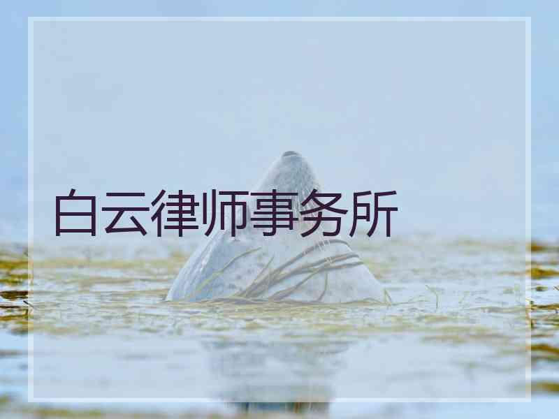 白云律师事务所