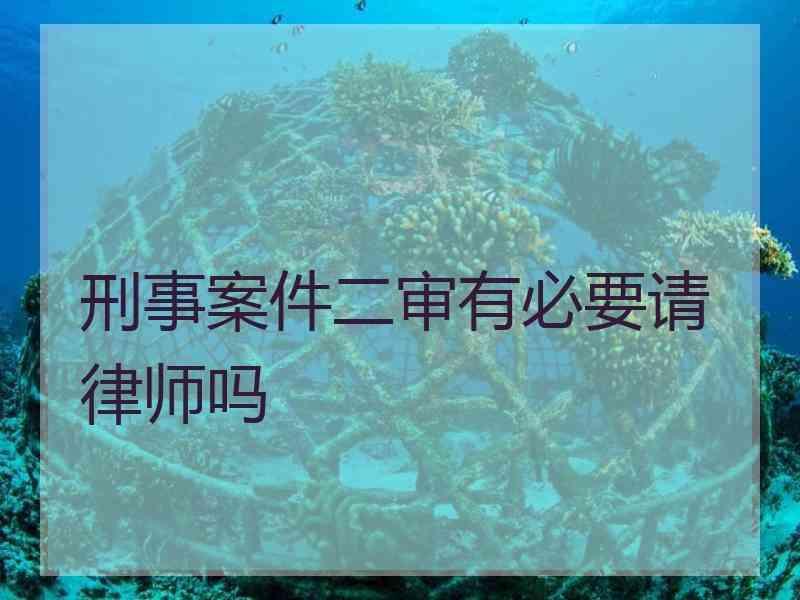 刑事案件二审有必要请律师吗